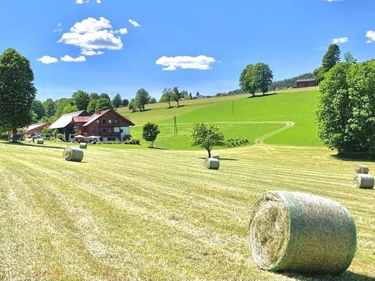 Apartamento Biobauernhof Brandlhof Ramsau am Dachstein Exterior foto