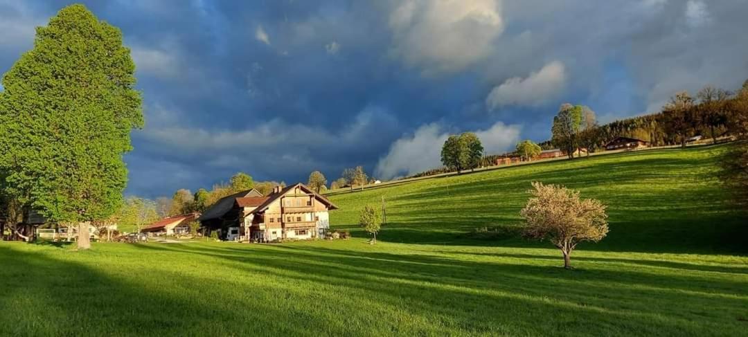 Apartamento Biobauernhof Brandlhof Ramsau am Dachstein Exterior foto